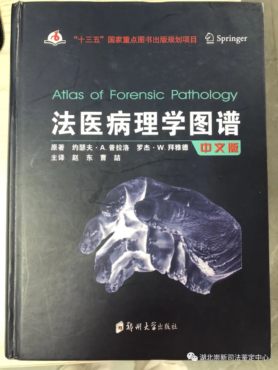 湖北崇新-刘良工作室科研项目基金研究成果见晓