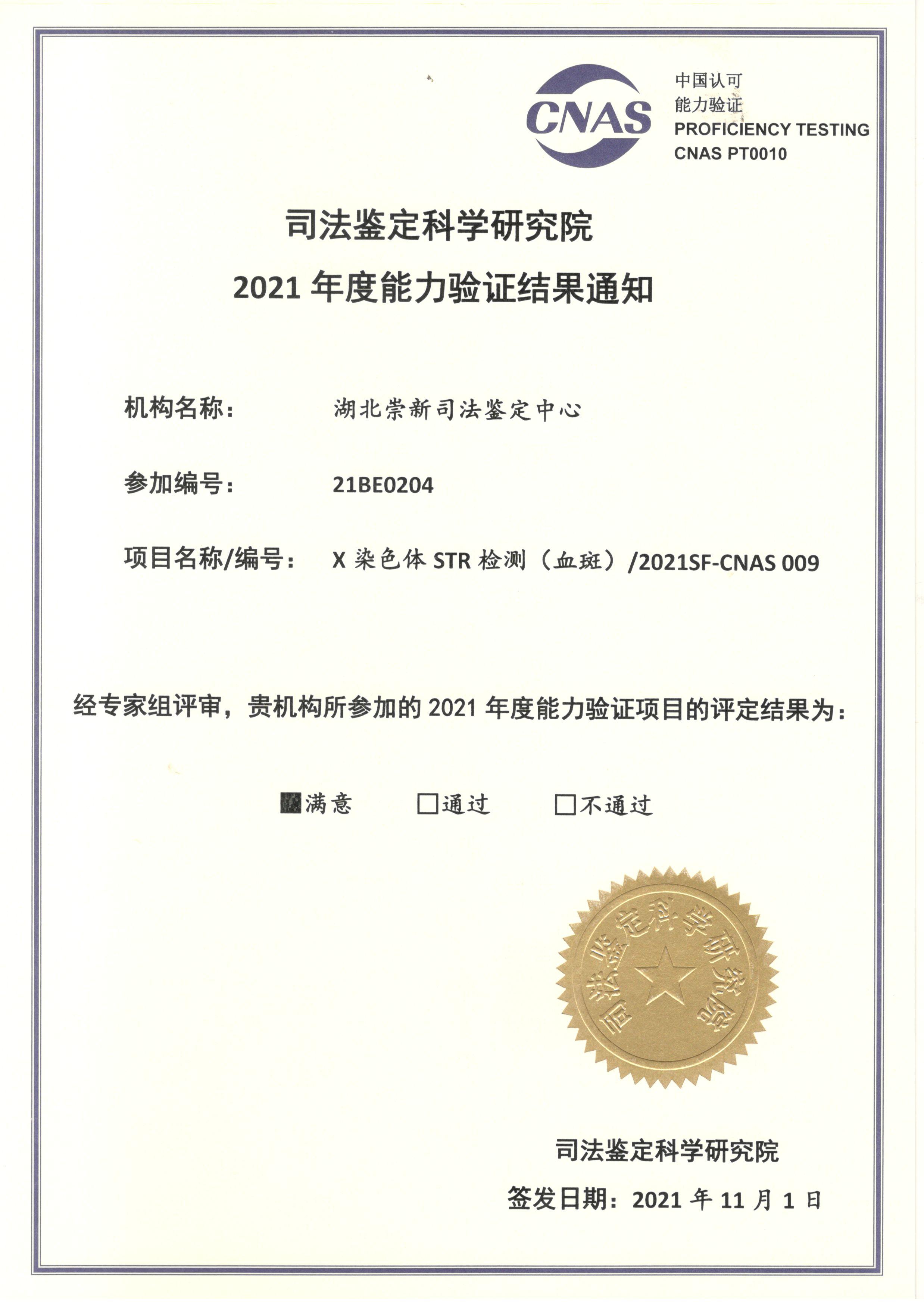 X染色体STR检测（血斑）