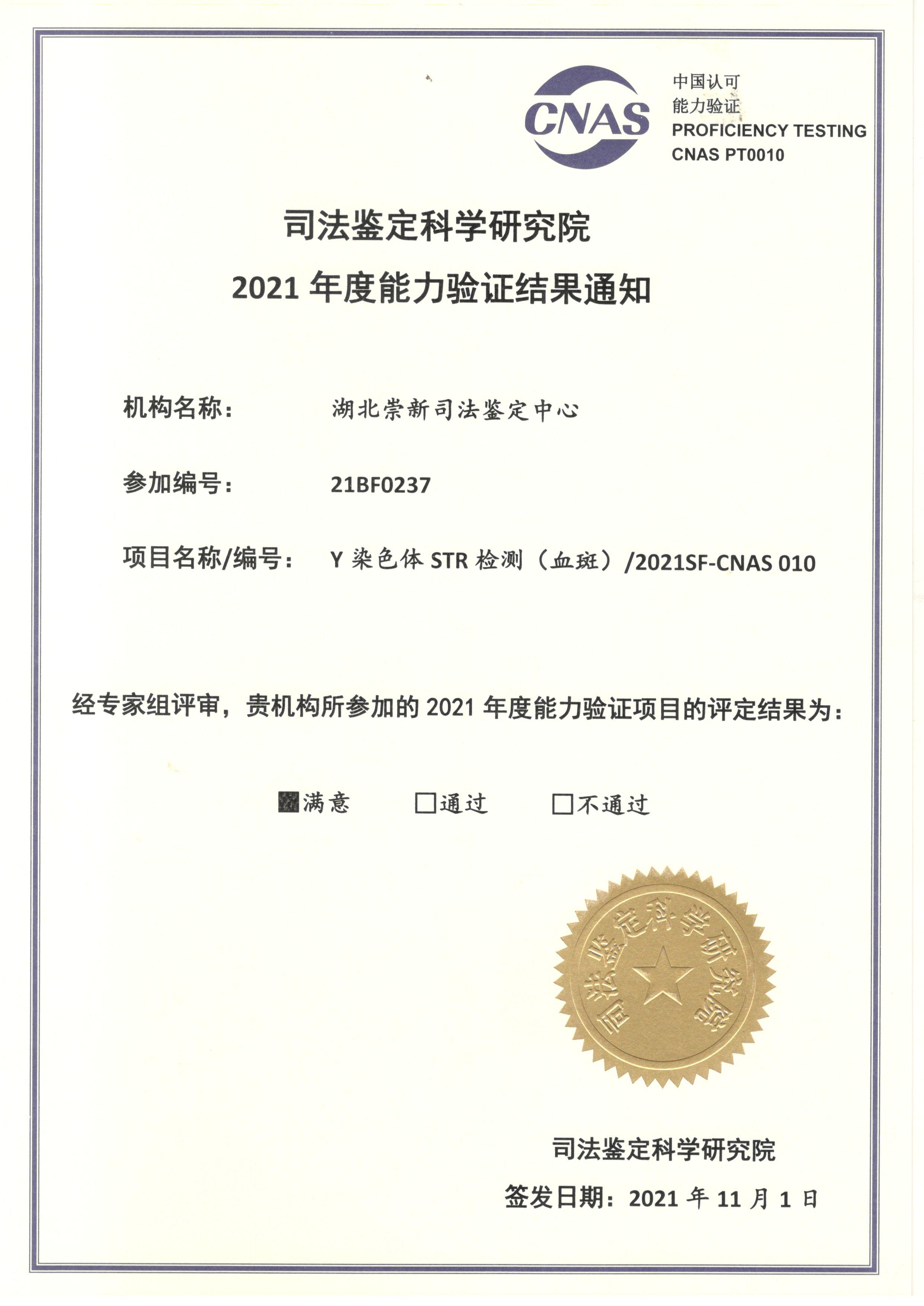 Y染色体STR检测（血斑）